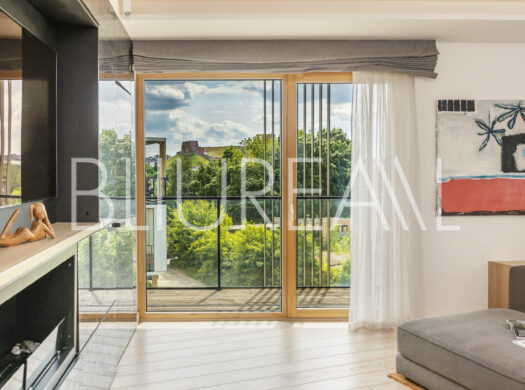 Apartamentai su vaizdu į Gedimino pilį