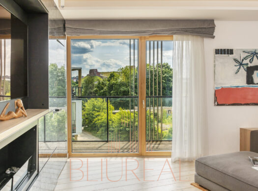 Apartamentai su vaizdu į Gedimino pilį