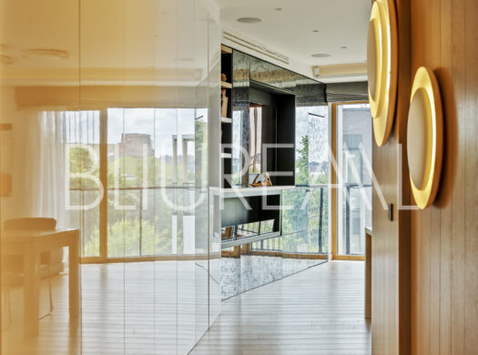 Apartamentai su vaizdu į Gedimino pilį