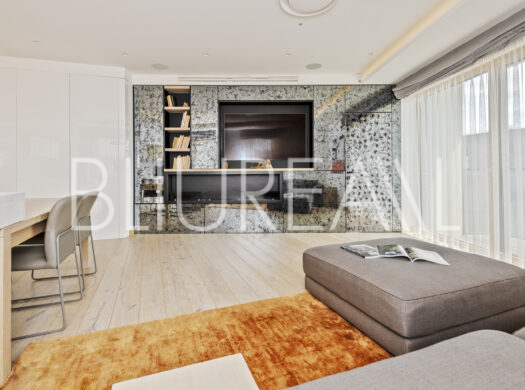 Apartamentai su vaizdu į Gedimino pilį